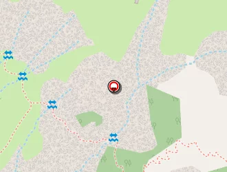 Carte de Vival à Orcières