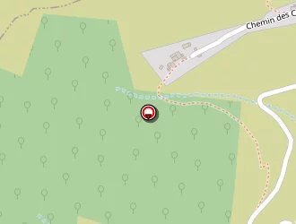 Carte de Bret Multi Travaux (b.m.t) à Chirols