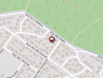 Carte de Verbauwhede Teddy à Audenge