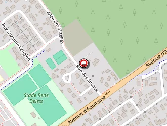 Carte de Fernandes Antoine à Marcheprime