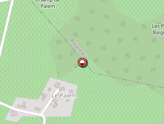 Carte de Diaz Yoann à Montignac