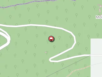 Carte de Hafiz Thomas à Saint-hippolyte