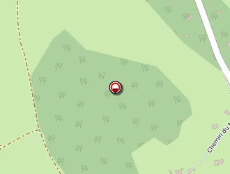 Carte de Ryno Elec à Vigan (le)