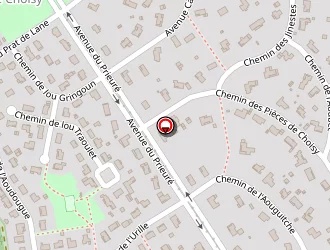 Carte de Lescure Roger à Cestas