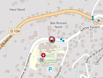 Carte de Strauss Julie à Privas