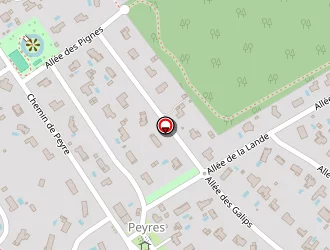 Carte de Guerinel Gérard à Cestas