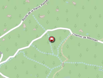 Carte de Course D'orientation à Veyras