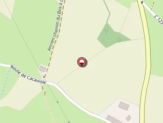 Carte de Bac Georges à Saint-cirgues