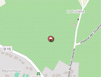 Carte de Mairie à Singleyrac