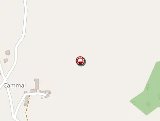 Carte de Calmejane Bernard à Maurs