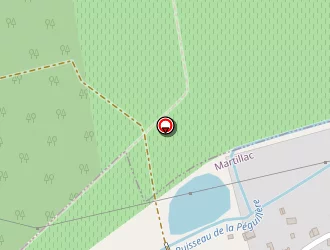 Carte de Raspaud Romain à Martillac