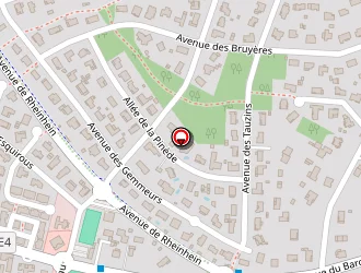 Carte de Rayssac Olivia à Cestas