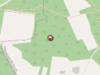 Carte de Earl Lapiarre à Villeneuve-de-duras