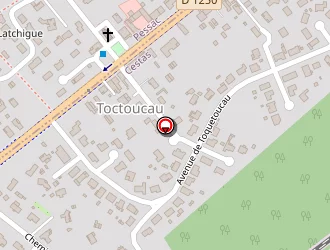 Carte de Ds Eleclim à Cestas