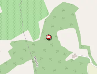 Carte de Delmas Hélène à Mauriac