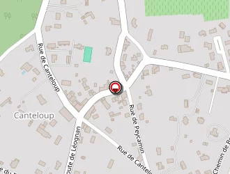 Carte de Gavé Bonnes Pizzeria à Gradignan