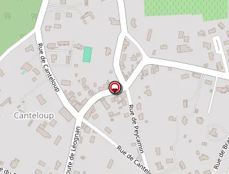 Carte de Varajao Antonio à Gradignan