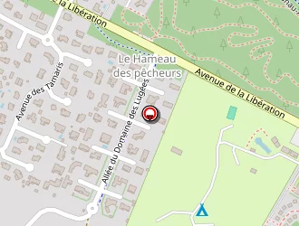 Carte de Expertissimmo à Arès