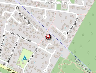 Carte de Le Pitey à Arès