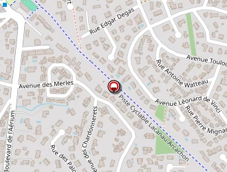 Carte de Desmoulin Entreprise à Arès