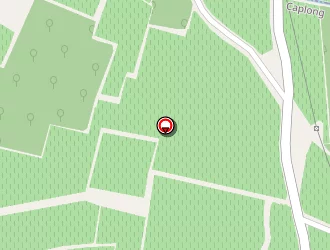 Carte de Gfa Jacques Vérité à Caplong