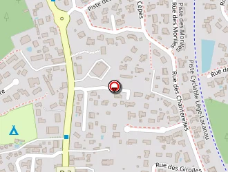 Carte de Desmoulin Sylvain à Arès