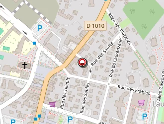 Carte de Caliot Cécile à Gradignan