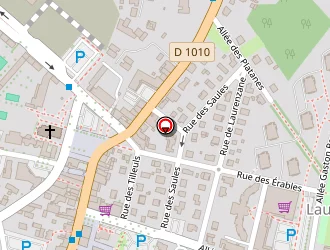 Carte de Lasserre François à Gradignan