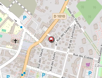 Carte de Rêve D'opaline à Gradignan