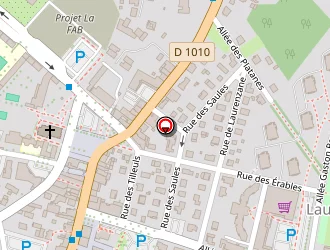 Carte de Boucherie Du Centre à Gradignan