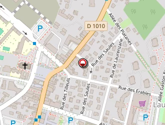 Carte de Partexia à Gradignan