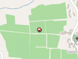 Carte de Mairie à Caplong