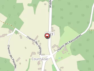 Carte de Taxi Bourian à Payrignac