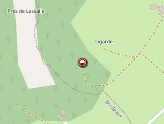 Carte de Nguyen Daniel à Blésignac