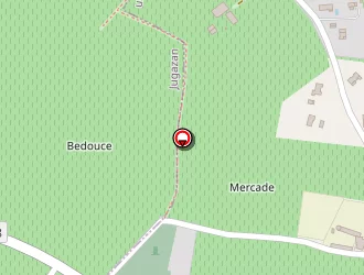 Carte de Pitaud à Rauzan