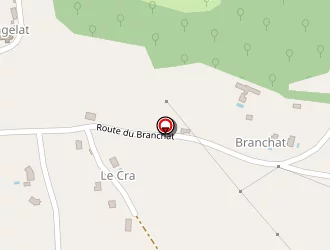 Carte de Friboulet Eric à Sagelat