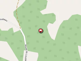 Carte de Relais Sallésien à Auroux