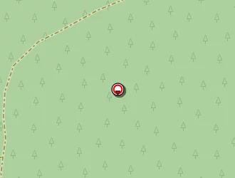 Carte de Carreau Delphine à Lège-cap-ferret