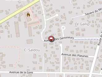 Carte de Mérial Patrick à Lège-cap-ferret