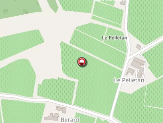 Carte de Vignobles Frigo à Saint-quentin-de-caplong