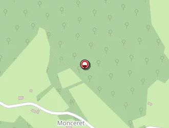 Carte de Roque Patrick à Monplaisant