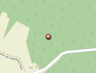 Carte de Guerrin Guy à Molières