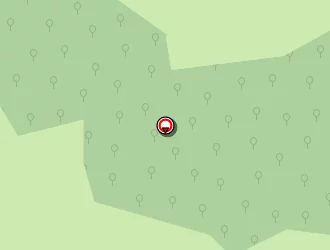 Carte de Cassagne Jean-paul à Marcolès