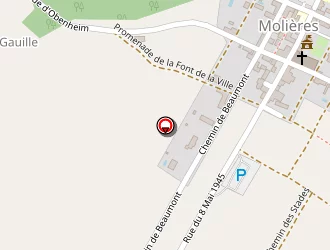 Carte de Touvenin David à Molières