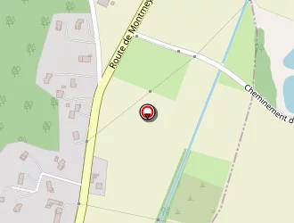 Carte de Chanut Christophe à Montoison