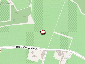 Carte de Js Espaces Verts à Saint-pey-de-castets