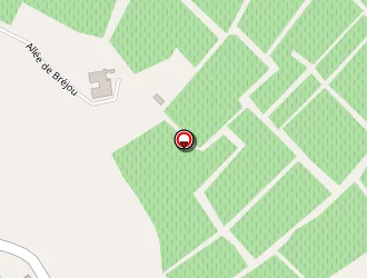 Carte de Gourgousse Fabien à Saint-andré-et-appelles