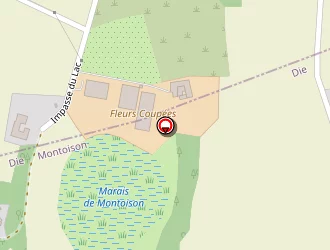 Carte de Fleurs Coupées (earl) à Étoile-sur-rhône