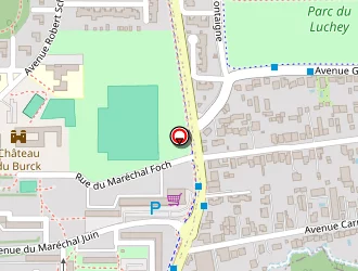 Carte de Desmonen Sarah à Saint-macaire