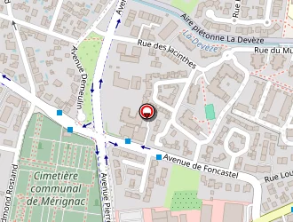 Carte de Jardiland Floriana à Mérignac